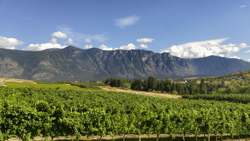 Skimmerhorn Estate Winery Skimmerhorn Estate Winery